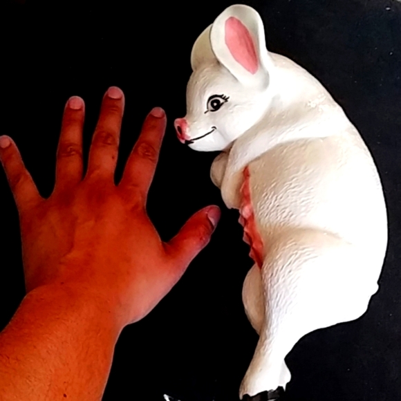 Pig - Picture 4 of 4